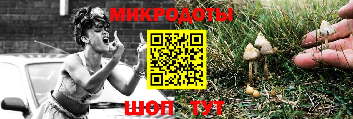 Донской  Псилоцибиновые грибы мухоморы  Псилоцибиновые грибы мицелий  Вход с VPN 